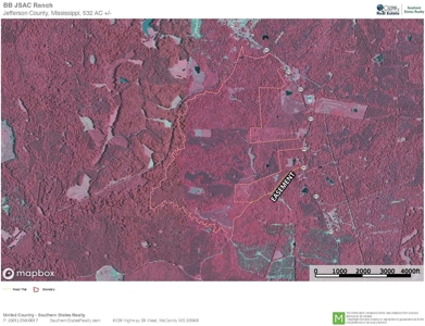 Deer Creek 532 Acres Land for Sale Jefferson County MS - image 43