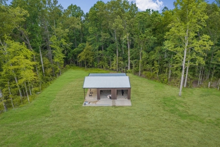 Deer Creek 532 Acres Land for Sale Jefferson County MS - image 34