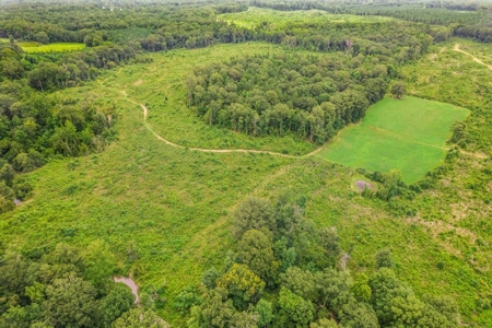 Deer Creek 532 Acres Land for Sale Jefferson County MS - image 22