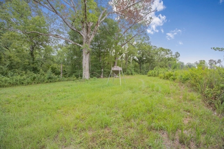 Deer Creek 532 Acres Land for Sale Jefferson County MS - image 5