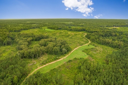 Deer Creek 532 Acres Land for Sale Jefferson County MS - image 27