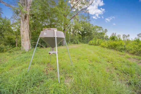 Deer Creek 532 Acres Land for Sale Jefferson County MS - image 4