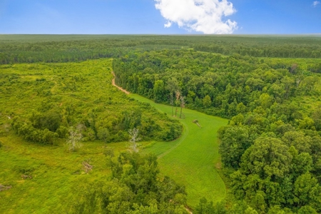 Deer Creek 532 Acres Land for Sale Jefferson County MS - image 30