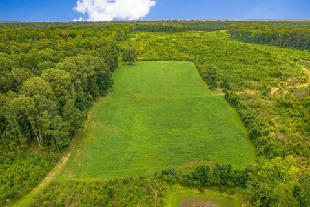 Deer Creek 532 Acres Land for Sale Jefferson County MS - image 21