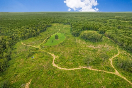Deer Creek 532 Acres Land for Sale Jefferson County MS - image 11