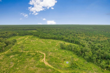Deer Creek 532 Acres Land for Sale Jefferson County MS - image 15