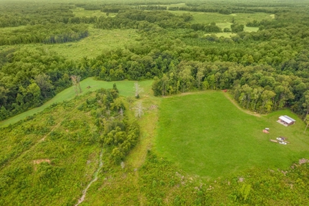 Deer Creek 532 Acres Land for Sale Jefferson County MS - image 36
