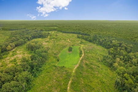 Deer Creek 532 Acres Land for Sale Jefferson County MS - image 12