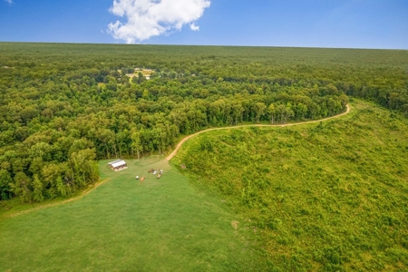 Deer Creek 532 Acres Land for Sale Jefferson County MS - image 31