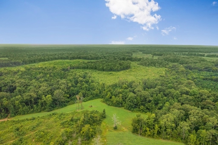Deer Creek 532 Acres Land for Sale Jefferson County MS - image 29