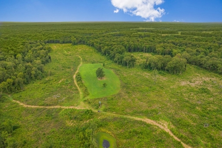 Deer Creek 532 Acres Land for Sale Jefferson County MS - image 10