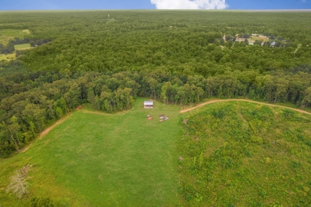 Deer Creek 532 Acres Land for Sale Jefferson County MS - image 35