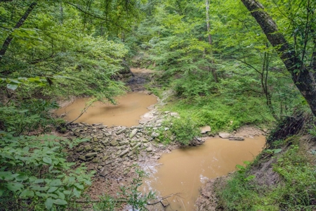Deer Creek 532 Acres Land for Sale Jefferson County MS - image 3
