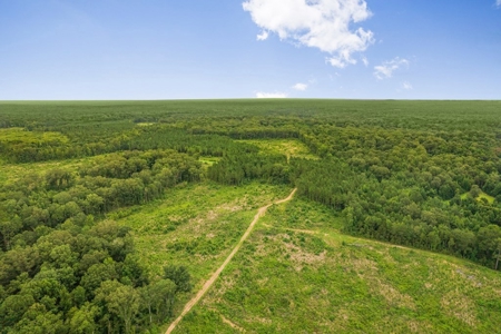 Deer Creek 532 Acres Land for Sale Jefferson County MS - image 16