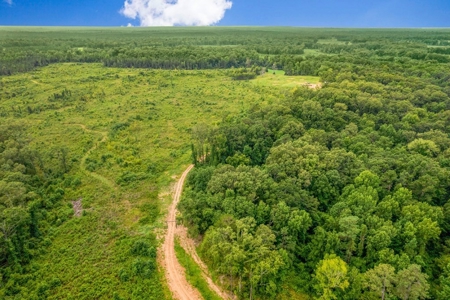 Deer Creek 532 Acres Land for Sale Jefferson County MS - image 38