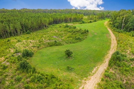 Deer Creek 532 Acres Land for Sale Jefferson County MS - image 25