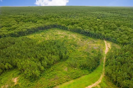 Deer Creek 532 Acres Land for Sale Jefferson County MS - image 26
