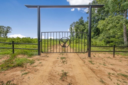 Deer Creek 532 Acres Land for Sale Jefferson County MS - image 1
