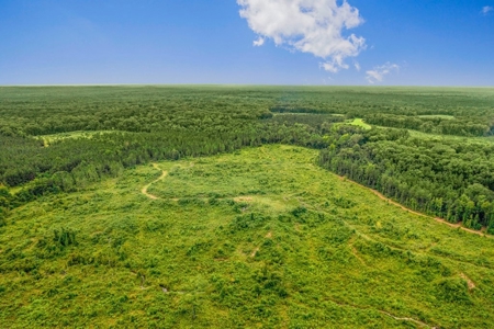 Deer Creek 532 Acres Land for Sale Jefferson County MS - image 37