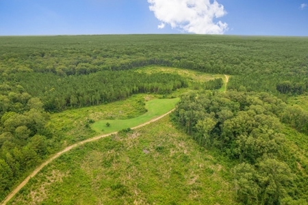 Deer Creek 532 Acres Land for Sale Jefferson County MS - image 23