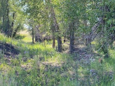 Affordable Modular Home on 5.53 Acres! - image 11