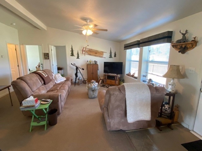 Affordable Modular Home on 5.53 Acres! - image 34