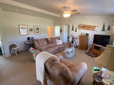 Affordable Modular Home on 5.53 Acres! - image 35