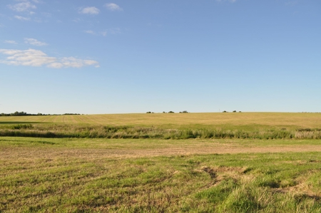 Coming In October!! Gentry County Land Auction - image 26