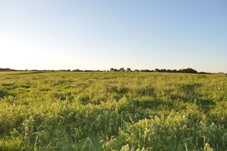 Coming In October!! Gentry County Land Auction - image 16