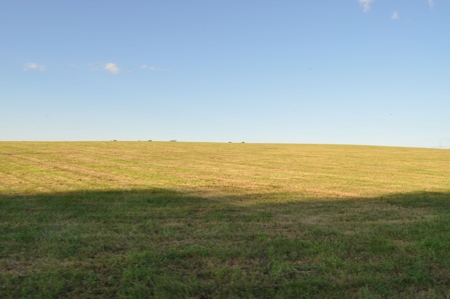 Coming In October!! Gentry County Land Auction - image 21
