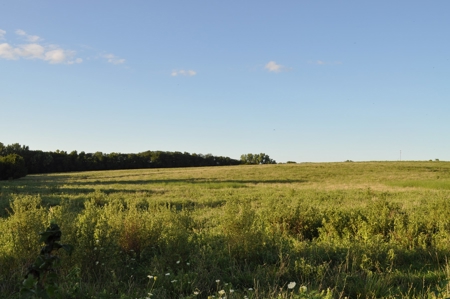 Coming In October!! Gentry County Land Auction - image 23