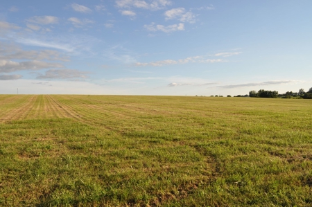 Coming In October!! Gentry County Land Auction - image 25