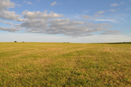 Coming In October!! Gentry County Land Auction - image 24