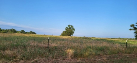 Cedar County Missouri Farm, Income Producing Chicken Barn - image 4