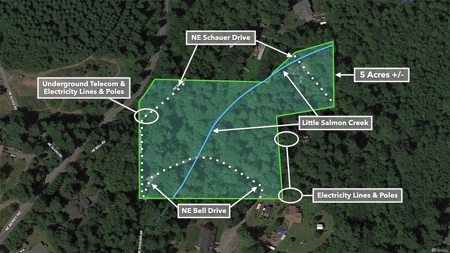 Secluded land with 5 Acres for Sale in Battle Ground, WA - image 11