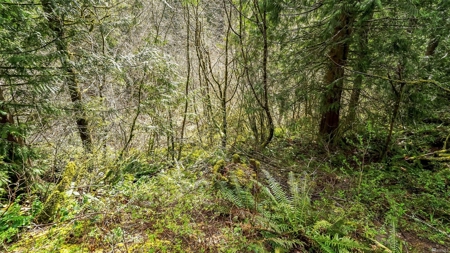 Secluded land with 5 Acres for Sale in Battle Ground, WA - image 3