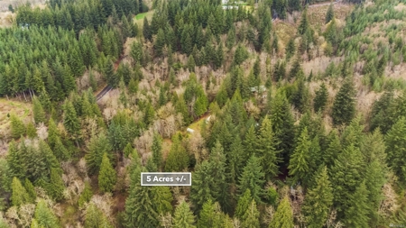 Secluded land with 5 Acres for Sale in Battle Ground, WA - image 2