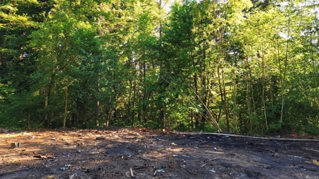 Secluded land with 5 Acres for Sale in Battle Ground, WA - image 5