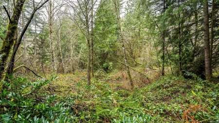 Secluded land with 5 Acres for Sale in Battle Ground, WA - image 4