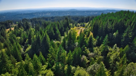 Secluded land with 5 Acres for Sale in Battle Ground, WA - image 1