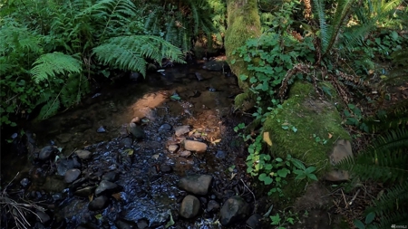 Secluded land with 5 Acres for Sale in Battle Ground, WA - image 13