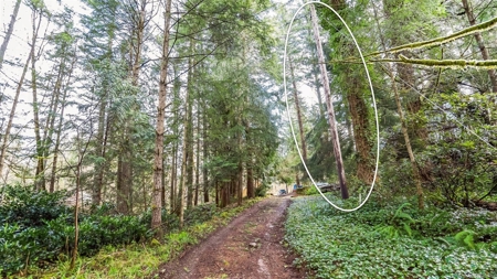 Secluded land with 5 Acres for Sale in Battle Ground, WA - image 8