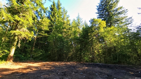 Secluded land with 5 Acres for Sale in Battle Ground, WA - image 6
