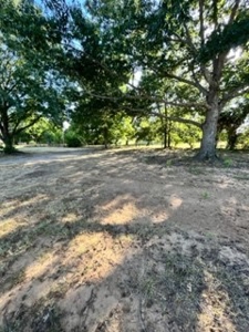 Spacious Single-family home on 14 Acres - image 12