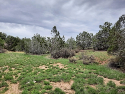 Beautiful Property - image 7