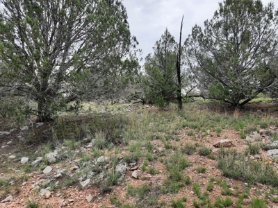 Beautiful Property - image 6