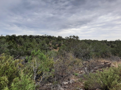 Beautiful Property - image 12