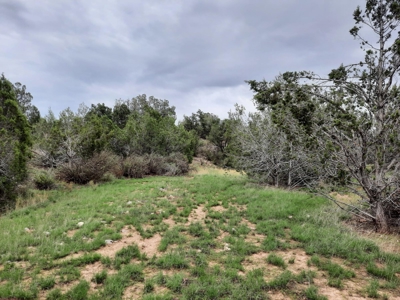 Beautiful Property - image 10