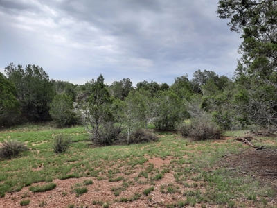 Beautiful Property - image 11