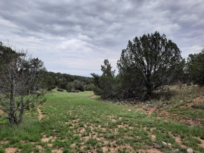 Beautiful Property - image 8